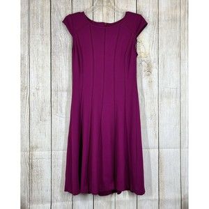Adrianna Papell Deep Pink Berry Cap Sleeve Mesh Stripe Stretch A-Line Dress Sz 4